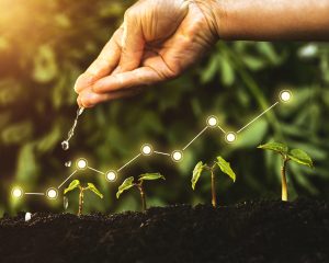Estratégias de SEO para aumentar tráfego orgânico e visibilidade online